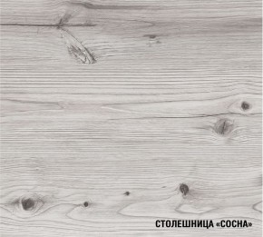 АСАЯ Кухонный гарнитур Экстра (3000 мм) в Когалыме - kogalym.mebel-74.com | фото