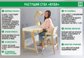 Комплект растущий стол и стул 38 попугаев «Вуди» (Серый, Без покрытия) в Когалыме - kogalym.mebel-74.com | фото