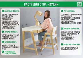 Комплект растущий стол и стул с чехлом 38 попугаев «Вуди» (Белый, Белый, Салют) в Когалыме - kogalym.mebel-74.com | фото