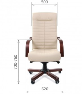 Кресло для руководителя CHAIRMAN 480 N WD (Экокожа) в Когалыме - kogalym.mebel-74.com | фото