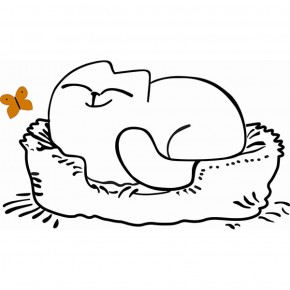 Кровать двухуровневая Кот № 900.1 ЛЕВАЯ (туя светлая/белый) в Когалыме - kogalym.mebel-74.com | фото