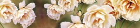 Кухонный фартук Цветы 066 МДФ матовый (3000) Flowers в Когалыме - kogalym.mebel-74.com | фото