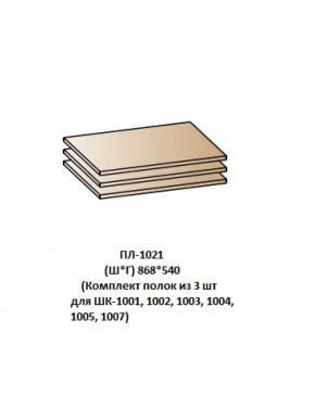 ПЛ-1021 (Комплект полок из 3 шт для ШК-1001, 1002, 1003, 1004, 1005, 1007) в Когалыме - kogalym.mebel-74.com | фото