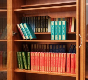 Шкаф для книг арт. 200 в Когалыме - kogalym.mebel-74.com | фото