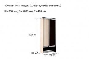 Шкаф купе без зеркала "Ольга 10.1" в Когалыме - kogalym.mebel-74.com | фото