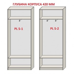 Шкаф распашной серия «ЗЕВС» (PL3/С1/PL2) в Когалыме - kogalym.mebel-74.com | фото