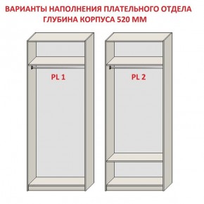 Шкаф распашной серия «ЗЕВС» (PL3/С1/PL2) в Когалыме - kogalym.mebel-74.com | фото
