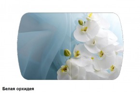Стол Бостон 900*600 (опоры Брифинг) Стекло/фотопечать Белая Орхидея в Когалыме - kogalym.mebel-74.com | фото