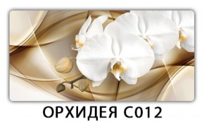 Стол раздвижной Трилогия с фотопечатью Орхидея R041 в Когалыме - kogalym.mebel-74.com | фото
