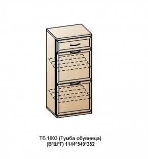 ТБ-1003 (Тумба-обувница) в Когалыме - kogalym.mebel-74.com | фото